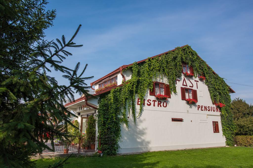 快速旅馆酒店 Rădăuţi 外观 照片